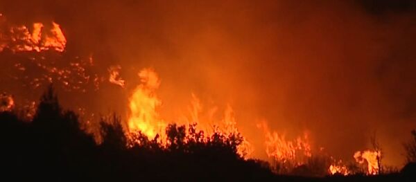 Los incendios forestales amenazan Siria Los incendios forestales amenazan Siria - Sputnik Mundo