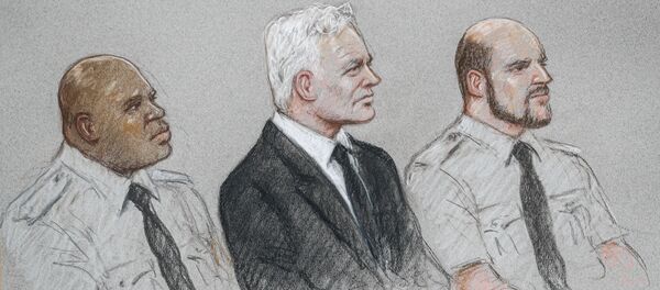 El juicio sobre la extradición de Julian Assange a EEUU El juicio sobre la extradición de Julian Assange a EEUU - Sputnik Mundo