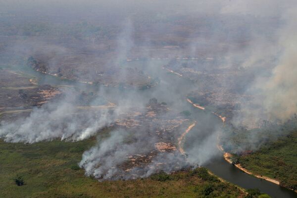 El Ministro de Medio Ambiente de Brasil admite que incendio del Pantanal es gigantesco - Sputnik Mundo