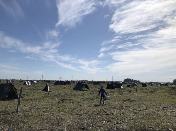 Tensión entre propiedad privada y crisis habitacional: tomas de tierras en Argentina - Sputnik Mundo