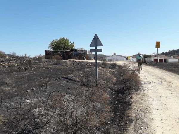 El mayor incendio del año de España vuelve a ser en Huelva, ¿por qué siempre arde la misma zona? - Sputnik Mundo