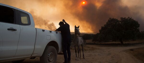 Incendios forestales en Huelva, España  - Sputnik Mundo