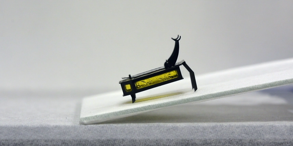 Un microrrobot que no usa electricidad ni baterías, cocreado por un chileno - Sputnik Mundo