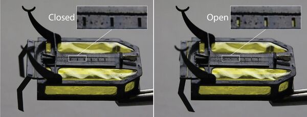 Un microrrobot que no usa electricidad ni baterías, cocreado por un chileno - Sputnik Mundo