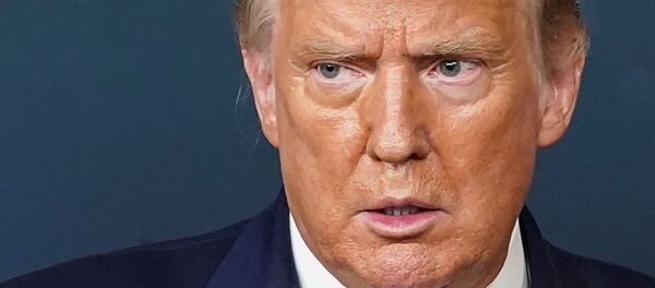 Donald Trump, presidente de EEUU - Sputnik Mundo