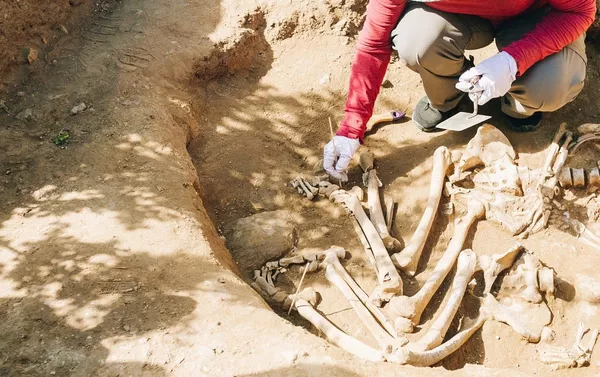 Trabajo arqueológico en el entierro encontrado en Buriatia, Rusia Trabajo arqueológico en el entierro encontrado en Buriatia, Rusia - Sputnik Mundo