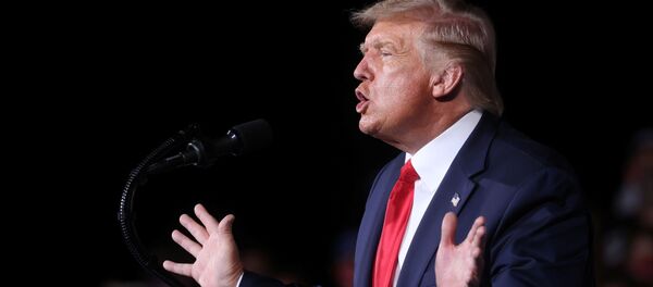 Donald Trump, presidente de EEUU Donald Trump, presidente de EEUU - Sputnik Mundo