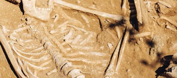 Uno de los esqueletos encontrados en Buriatia, Rusia Uno de los esqueletos encontrados en Buriatia, Rusia - Sputnik Mundo