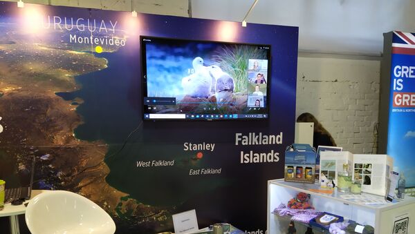 Stand de las 'Islas Falkland' en el pabellón británico de la Expo Prado 2020 en Montevideo, Uruguay - Sputnik Mundo