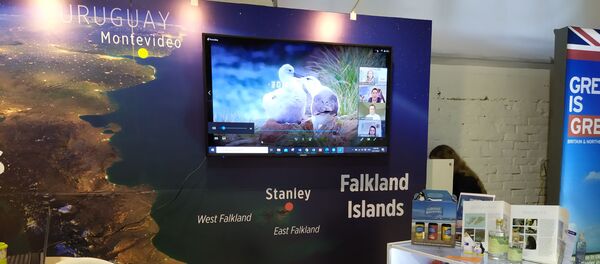 Stand de las 'Islas Falkland' en el pabellón británico de la Expo Prado 2020 en Montevideo, Uruguay - Sputnik Mundo