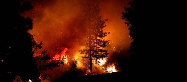 Incendios forestales en California el 8 de septiembre de 2020 - Sputnik Mundo