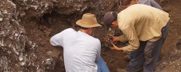 La excavación del Breal de Orocual La excavación del Breal de Orocual - Sputnik Mundo