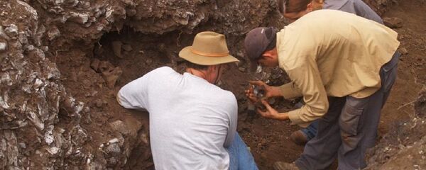 La excavación del Breal de Orocual - Sputnik Mundo