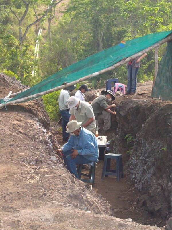 Descubren evidencias de un murciélago vampiro gigante y geoglifos similares a las líneas de Nazca en Venezuela - Sputnik Mundo