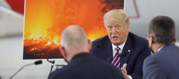 Donald Trump, presidente de EEUU - Sputnik Mundo