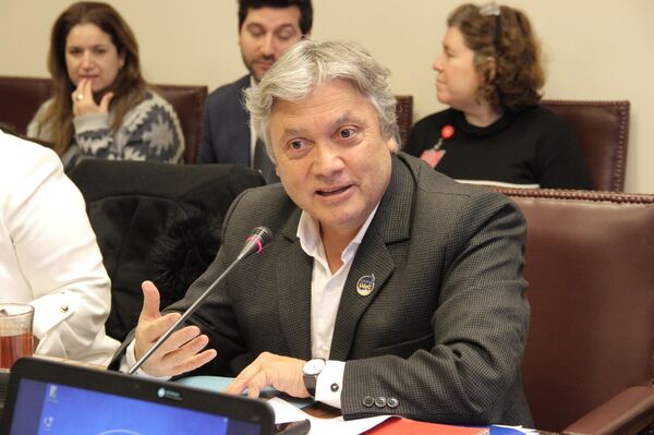 Camioneros en Chile: ¿una movilización política o gremial? - Sputnik Mundo