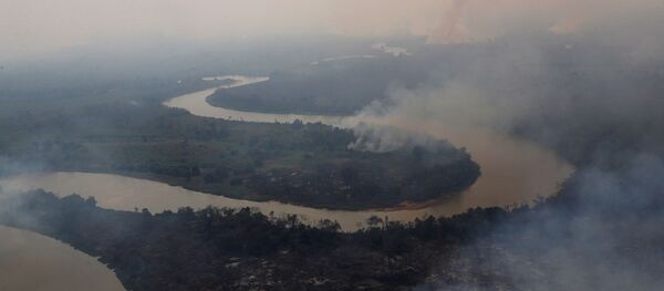 Consecuencias de los incendios en el Pantanal, Brasil Consecuencias de los incendios en el Pantanal, Brasil - Sputnik Mundo