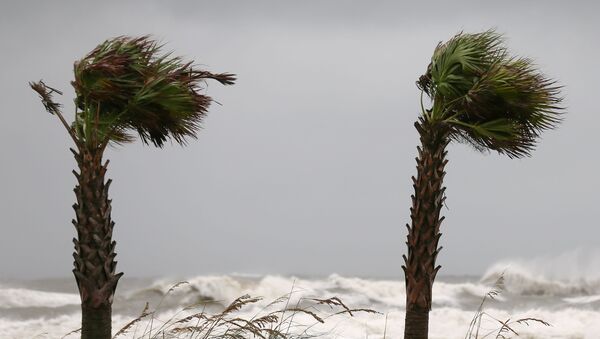 Huracán Sally - Sputnik Mundo