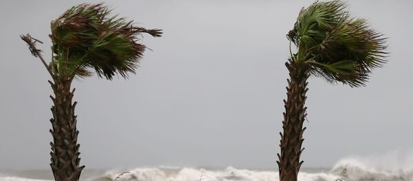 Huracán Sally Huracán Sally - Sputnik Mundo