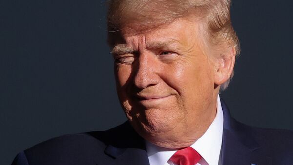 Donald Trump, el presidente de EEUU - Sputnik Mundo