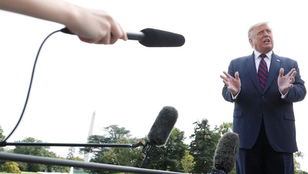 Donald Trump, el presidente de EEUU - Sputnik Mundo