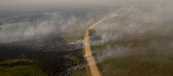 Вид с воздуха на лесной пожар в Бразилии - Sputnik Mundo