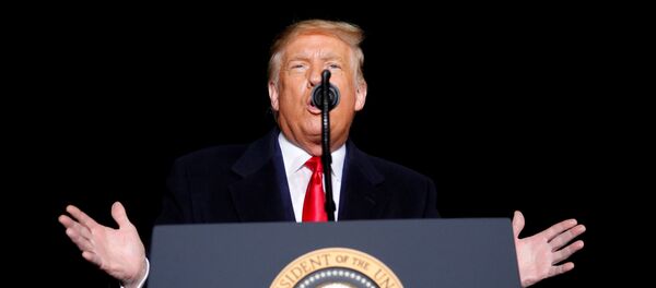 Donald Trump, presidente de los Estados Unidos Donald Trump, presidente de los Estados Unidos - Sputnik Mundo