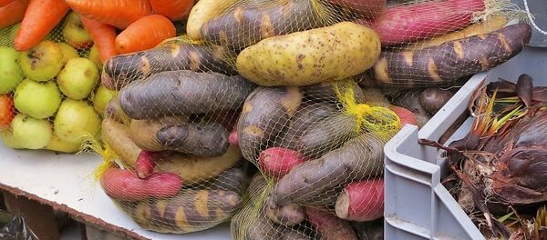 Papas de Chiloé - Sputnik Mundo