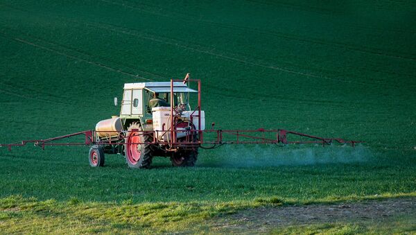 Pesticida. Plaguicida. Imagen referencial - Sputnik Mundo