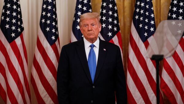 Donald Trump, presidente de EEUU - Sputnik Mundo