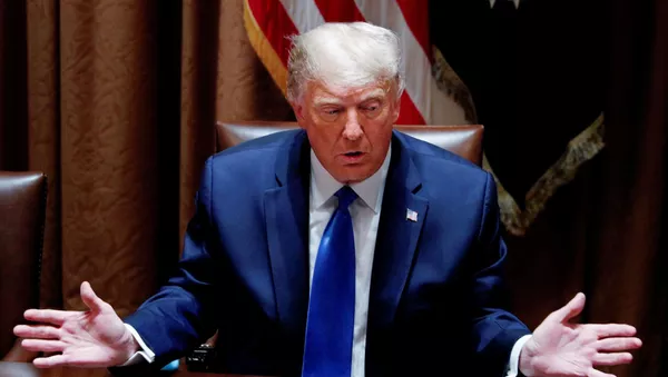 Donald Trump, presidente de los Estados Unidos - Sputnik Mundo