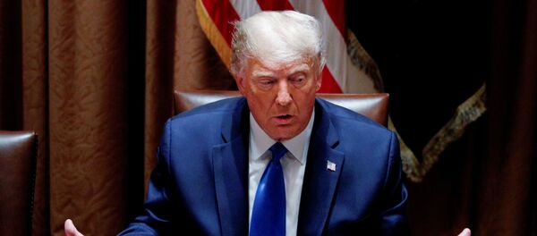 Donald Trump, presidente de los Estados Unidos - Sputnik Mundo