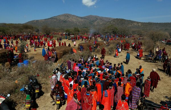 Los masáis celebran un rito de iniciación que ocurre cada 15 años Los masáis celebran un rito de iniciación que ocurre cada 15 años - Sputnik Mundo