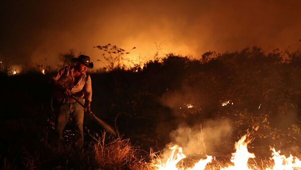 Incendios en Brasil - Sputnik Mundo