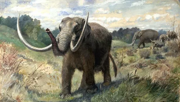  Un mastodonte, imágen referencial - Sputnik Mundo