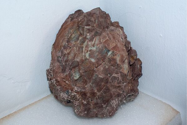 Descubren en España un gran yacimiento de huevos de dinosaurio | Fotos - Sputnik Mundo