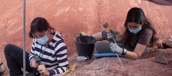 Paleontólogas trabajando en la excavación de Loarre (Huesca) - Sputnik Mundo