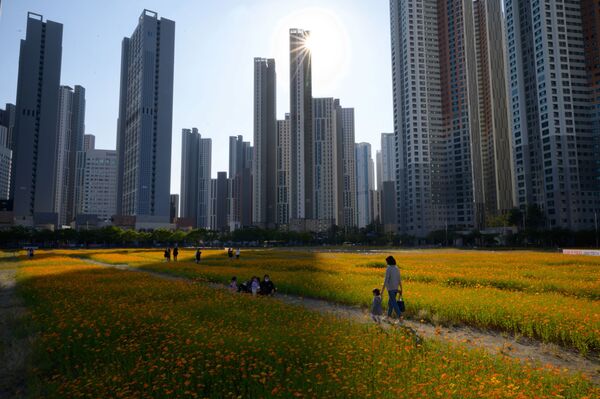 Protestas, festivales y desfiles en las fotos más impresionante de la semana  - Sputnik Mundo