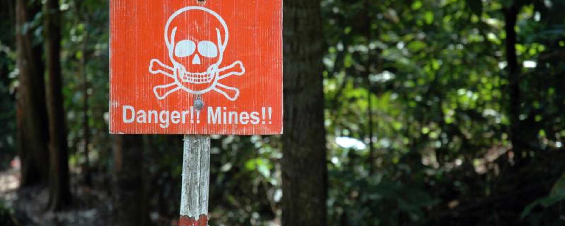 Un campo minado en Camboya, foto de archivo - Sputnik Mundo, 1920, 25.09.2020