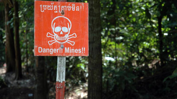 Un campo minado en Camboya, foto de archivo - Sputnik Mundo