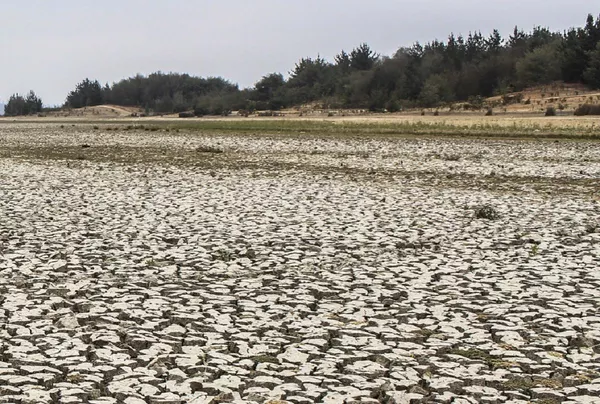 Acuerdo de Escazú: la incoherencia medioambiental de Chile Acuerdo de Escazú: la incoherencia medioambiental de Chile - Sputnik Mundo