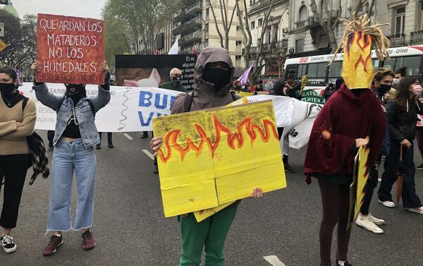 Marcha de Fridays for Future en Argentina - Sputnik Mundo