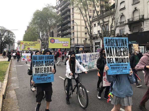 Jóvenes de Argentina multiplican las manifestaciones globales de Fridays for Future - Sputnik Mundo