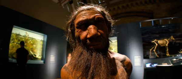 Un neandertal (imagen referencial) Un neandertal (imagen referencial) - Sputnik Mundo