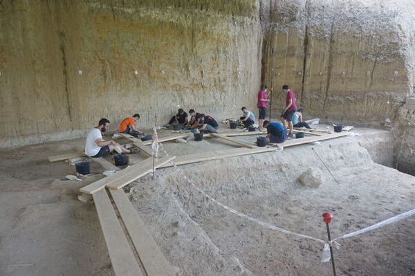 Jaguares, hienas y mamuts reinaban hace un millón de años la costa mediterránea de España | Fotos - Sputnik Mundo