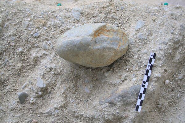 Jaguares, hienas y mamuts reinaban hace un millón de años la costa mediterránea de España | Fotos - Sputnik Mundo