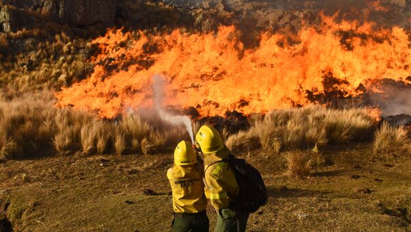 Incendios en Córdoba - Sputnik Mundo