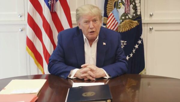 Donald Trump, presidente de EEUU - Sputnik Mundo