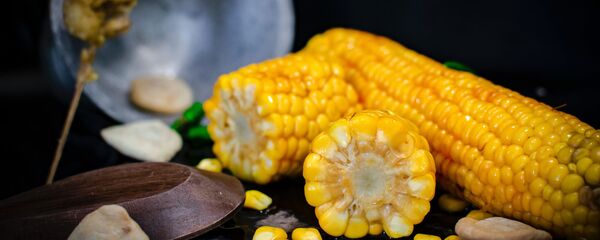 Maíz, imagen referencial - Sputnik Mundo