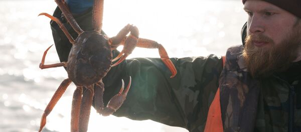 Рыбак демонстрирует свежевыловленного живого краба Рыбак демонстрирует свежевыловленного живого краба - Sputnik Mundo